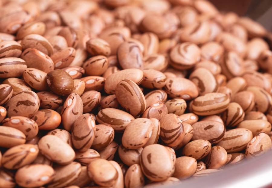 Feijão carioca completa 60 anos e segue como base da alimentação dos brasileiros