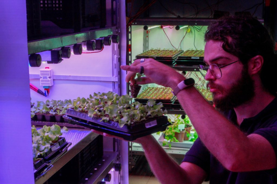 Pesquisa agropecuária pública gera retorno de R$ 19,50 a cada R$ 1 investido, aponta balanço da APTA