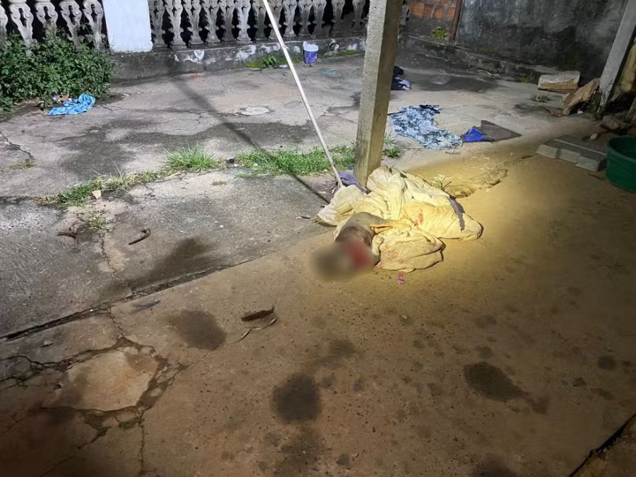 Polícia Civil investiga violência doméstica e morte de cachorro em Garça