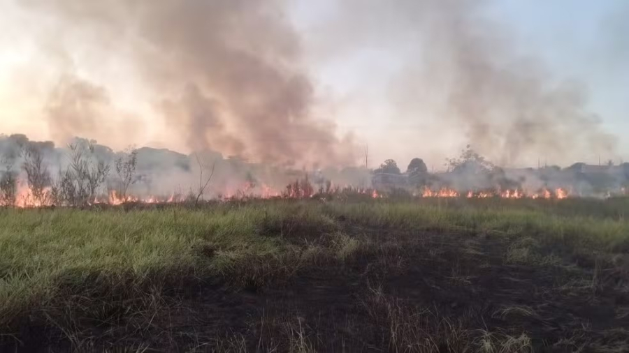 Incêndio em área de vegetação mobiliza bombeiros e Defesa Civil em Vera Cruz