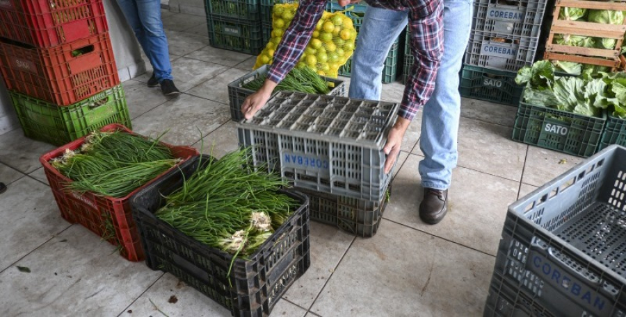 Programa distribui quase 9 toneladas de alimentos e fortalece agricultura familiar em Pompeia