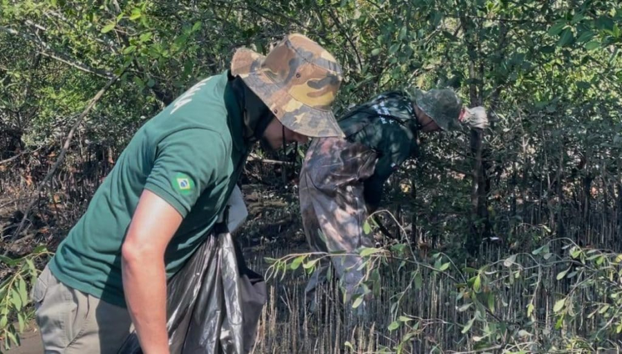 Governo de SP abre concurso da Fundação Florestal com 70 vagas e salários de até R$ 11,2 mil