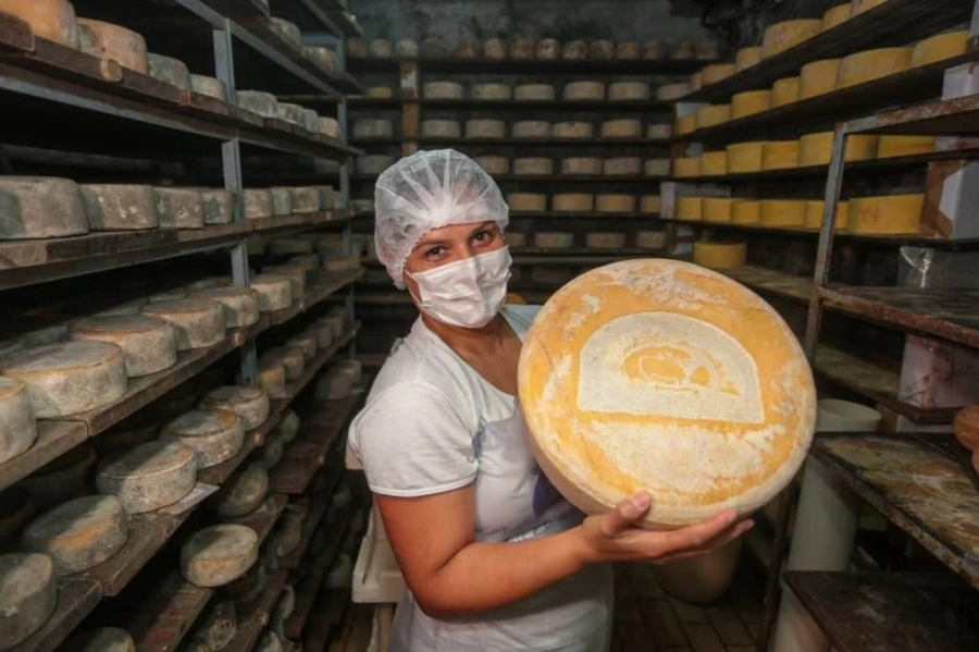 Selos de inspeção garantem mais segurança na compra de carnes, leite, ovos e mel; saiba como identificar