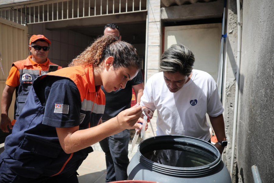 Dengue: veja os principais mitos e verdades sobre a doença e outras arboviroses