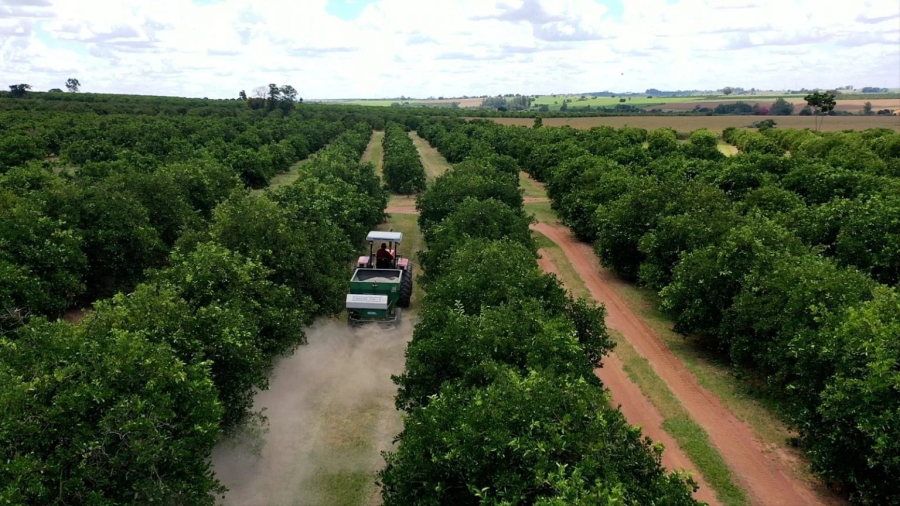 Cuidados no campo ajudam produtores a reduzir danos causados pelas chuvas