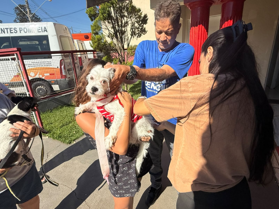 Pompeia realiza vacinação antirrábica e disponibiliza 200 doses para cães e gatos