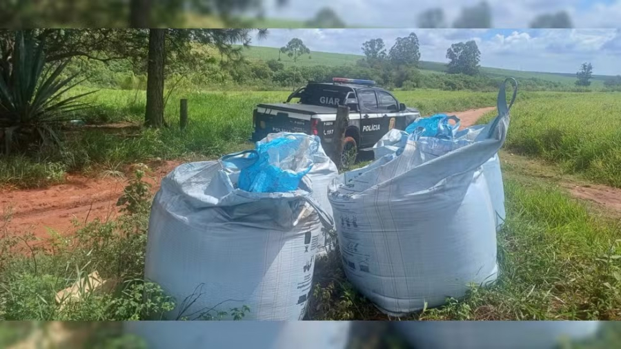 Polícia Civil apreende 4 toneladas de fertilizantes de origem suspeita em Areiópolis